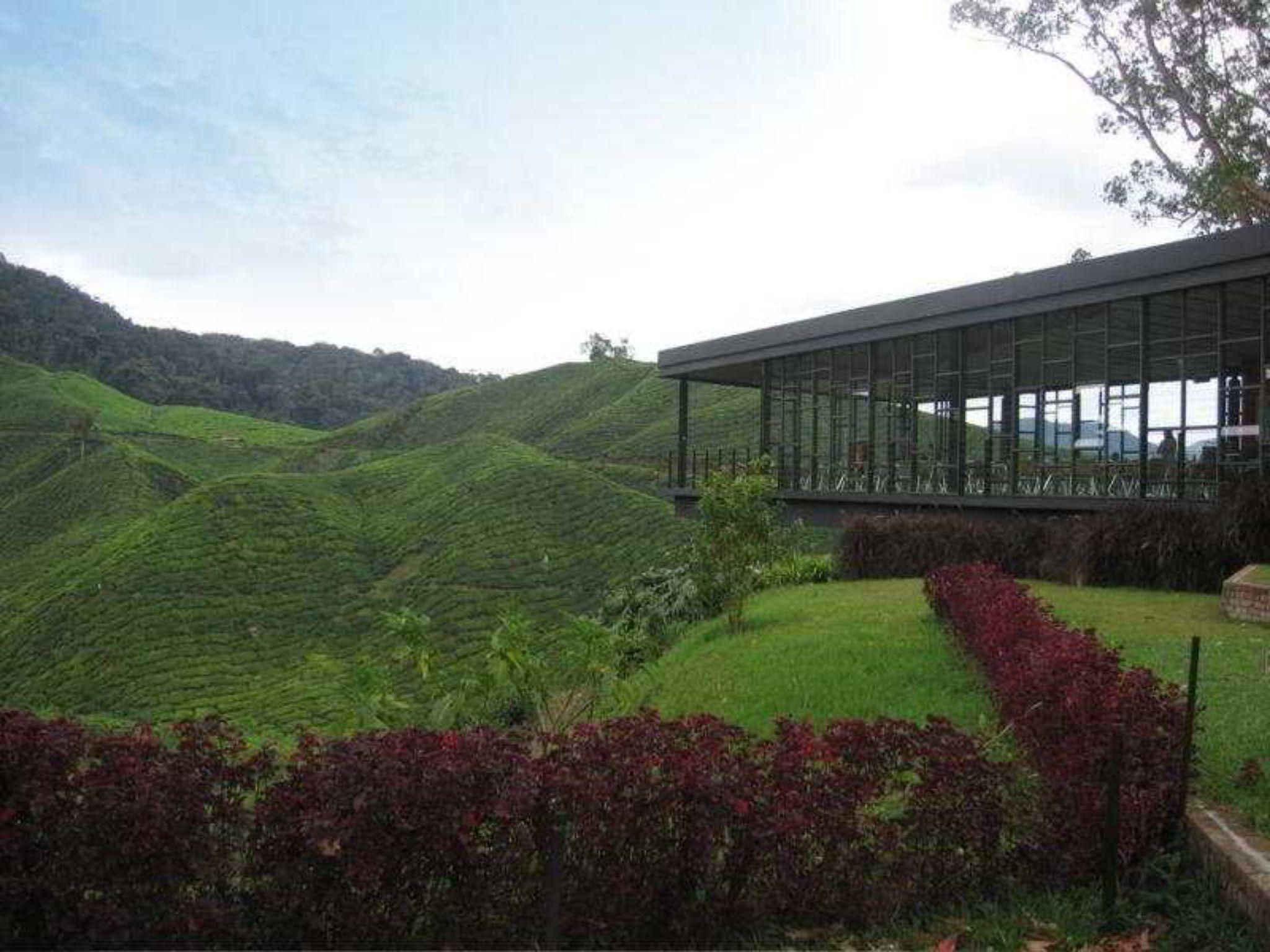 Century Pines Resort Cameron Highlands Exteriér fotografie